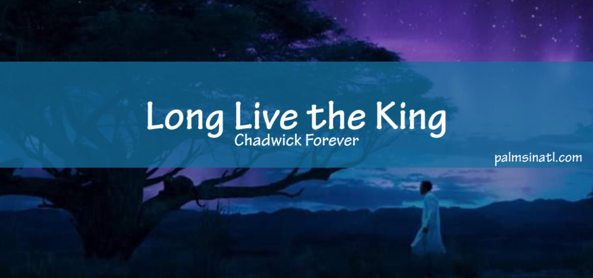 Long Live the King: Chadwick Forever + Grief