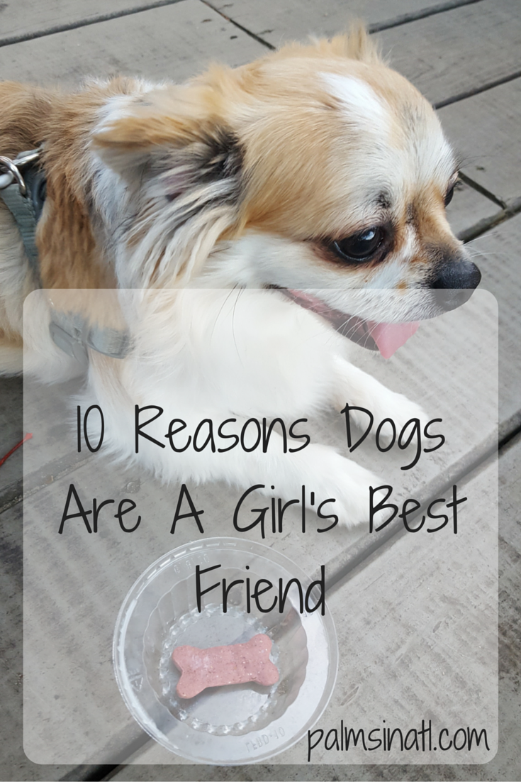 10 Reasons Dogs Are A Girl's Best Friend - The Palmetto Peaches