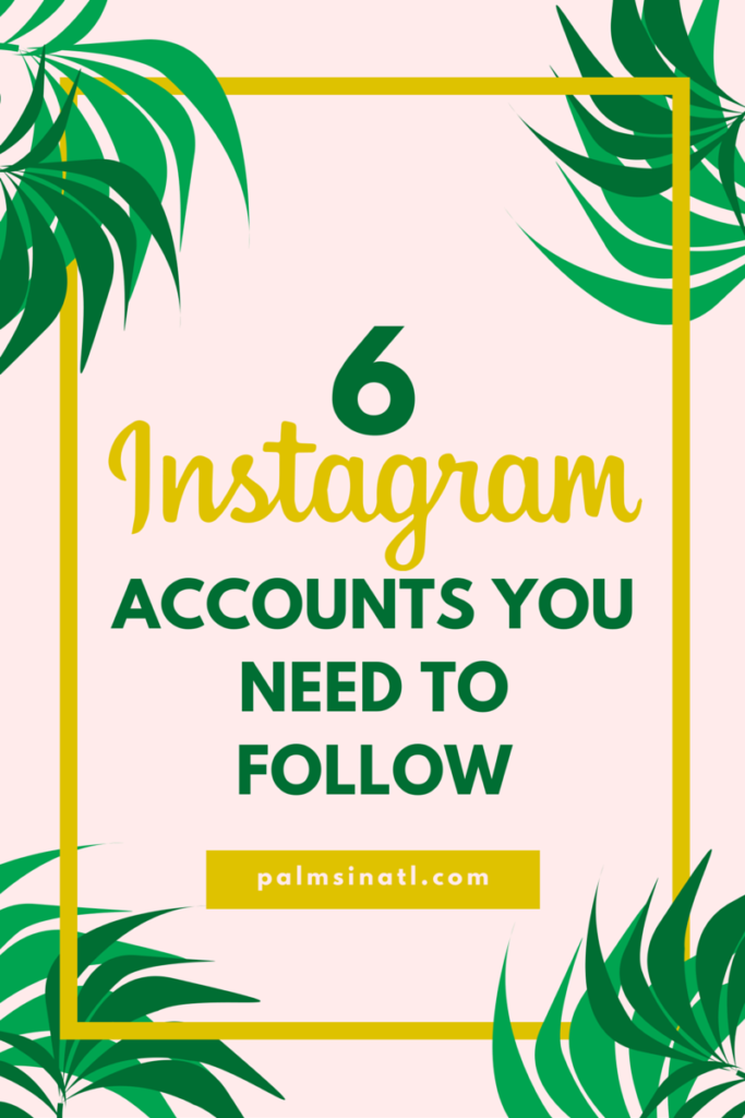 6 Instagram Accounts You Need to Follow--The Palmetto Peaches