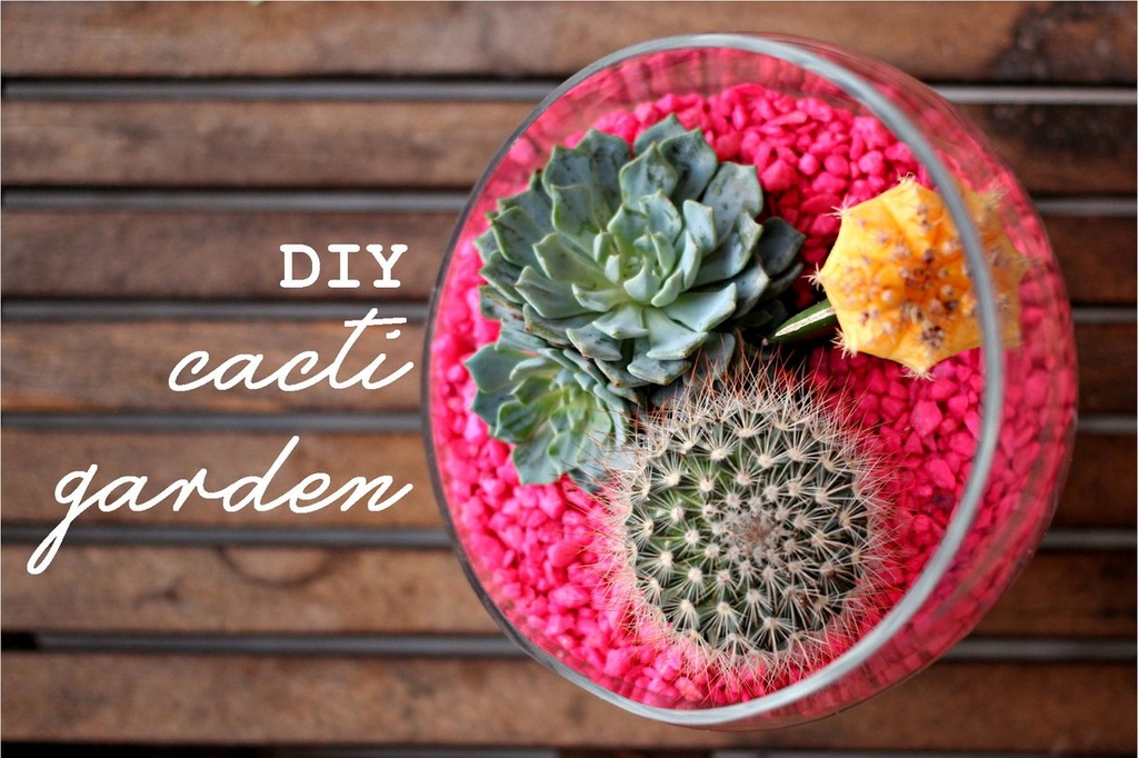 10 Summer DIY Projects (Roundup) - The Palmetto Peaches - palmsinatl.com