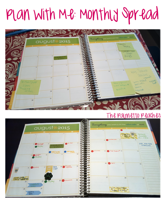 Plan With Me - Monthly Spread - The Palmetto Peachess