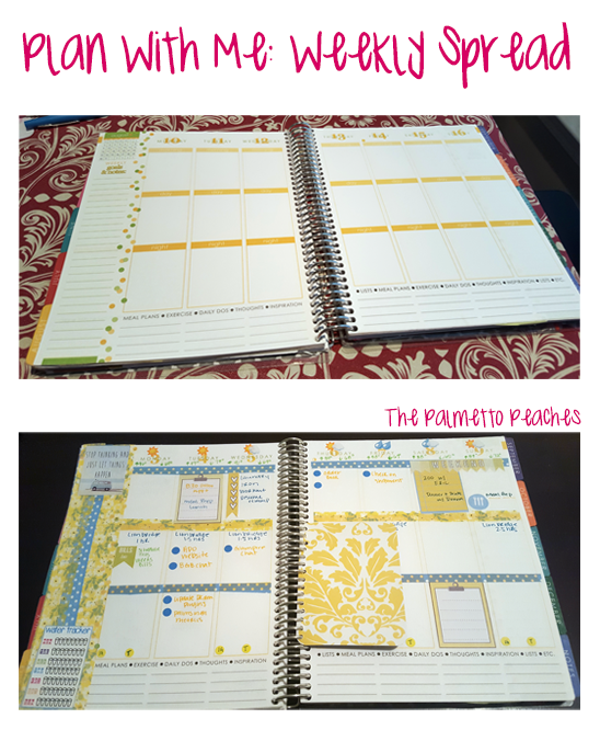 Plan With Me - Weekly Spread- The Palmetto Peaches