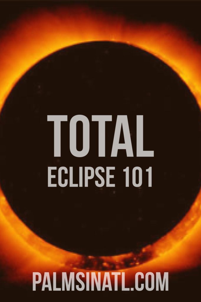 Total Eclipse 101 - The Palmetto Peaches - palmsinatl.com