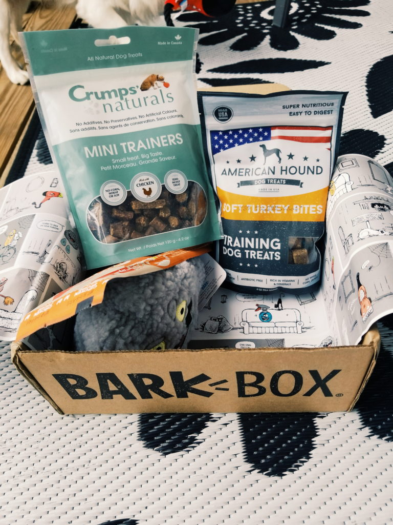 Happy Howl-o-ween: Barkbox Review - The Palmetto Peaches - palmsinatl.com