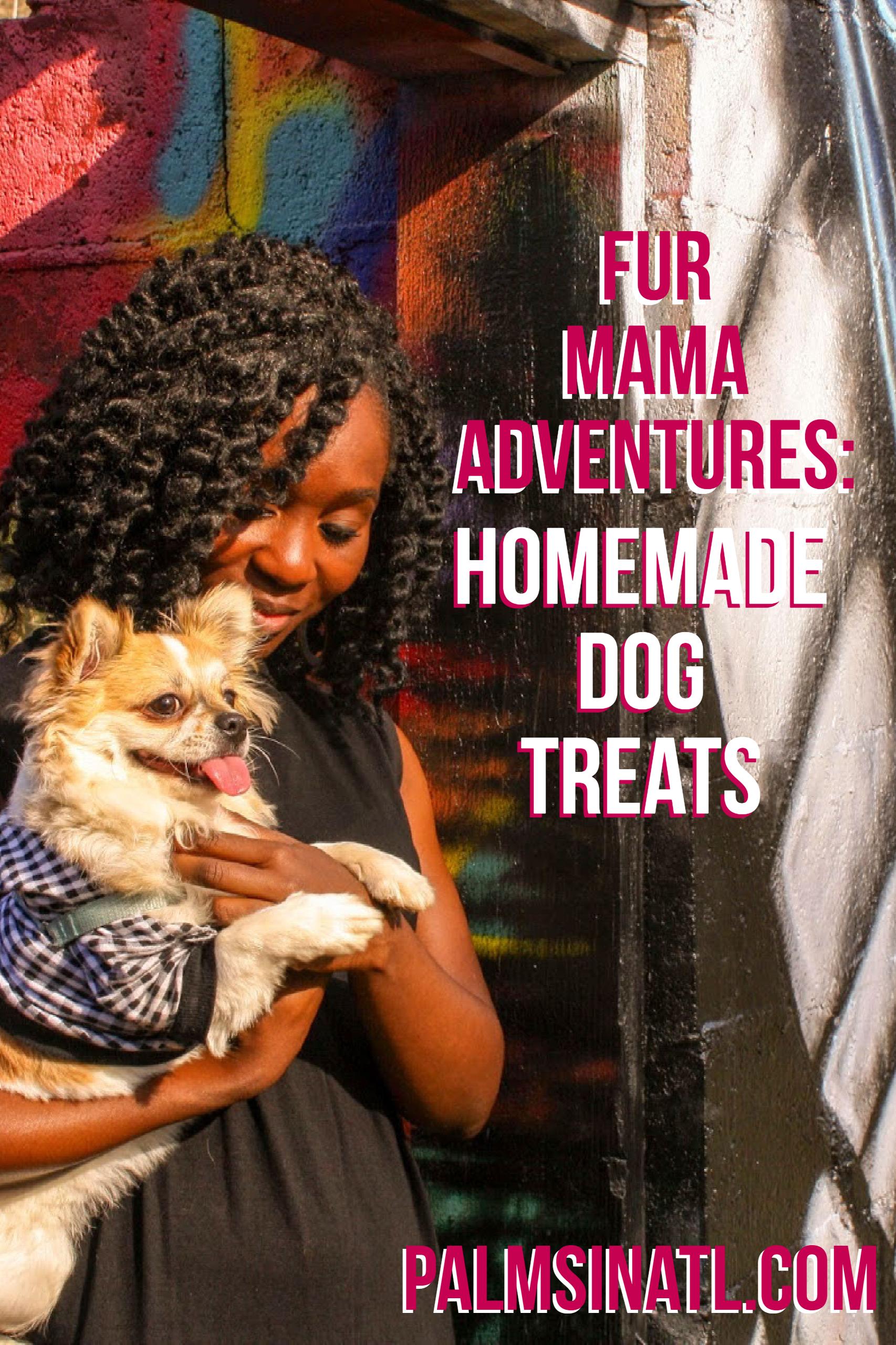 Fur Mama Adventures: Homemade Dog Treats- The Palmetto Peaches