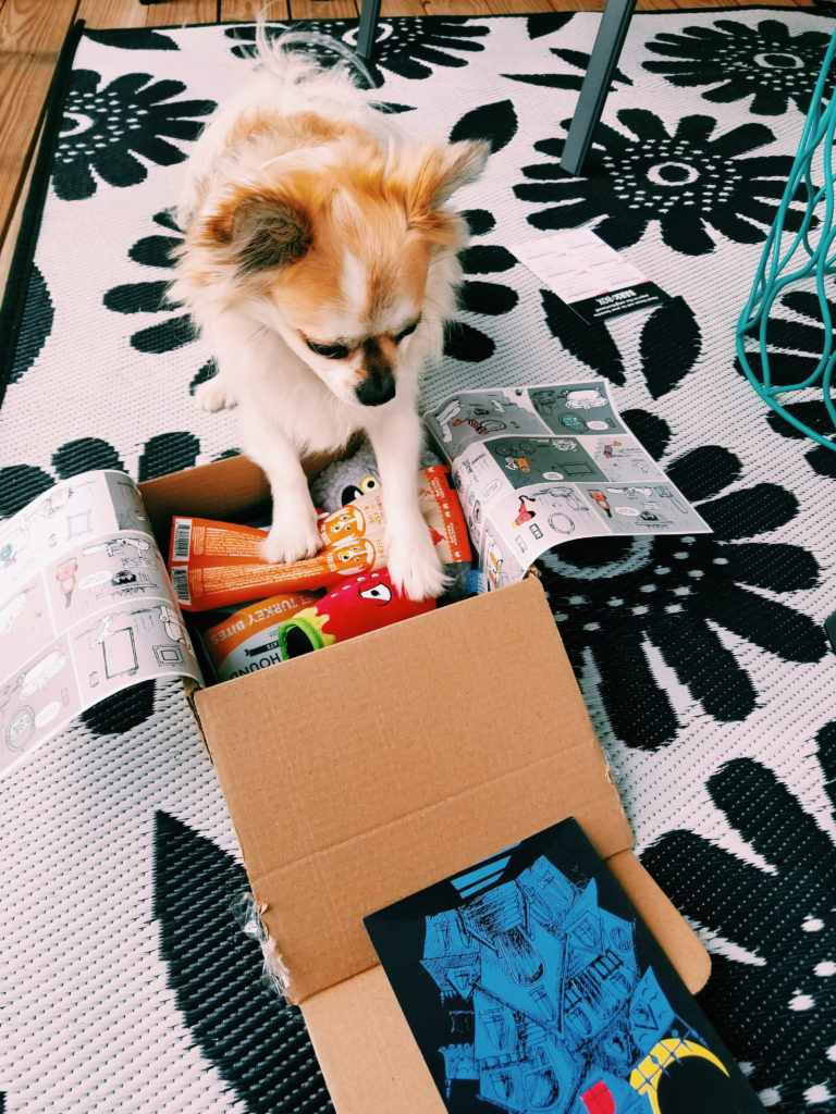 Happy Howl-o-ween: Barkbox Review - The Palmetto Peaches - palmsinatl.com