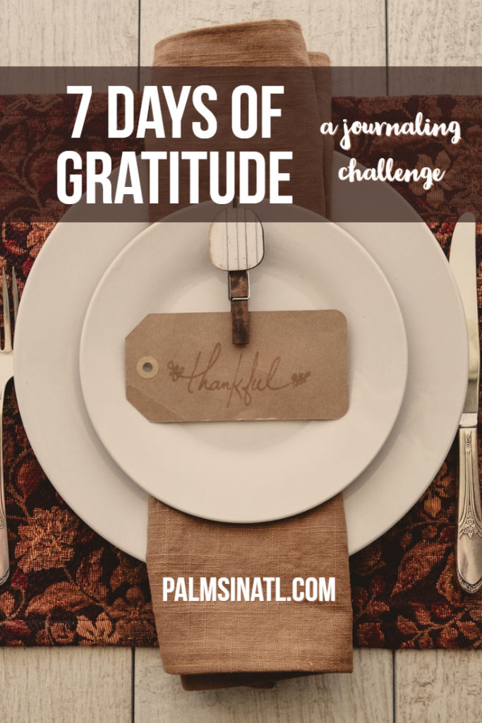 7 Days of Gratitude: A Journaling Challenge - The Palmetto Peaches - palmsinatl.com